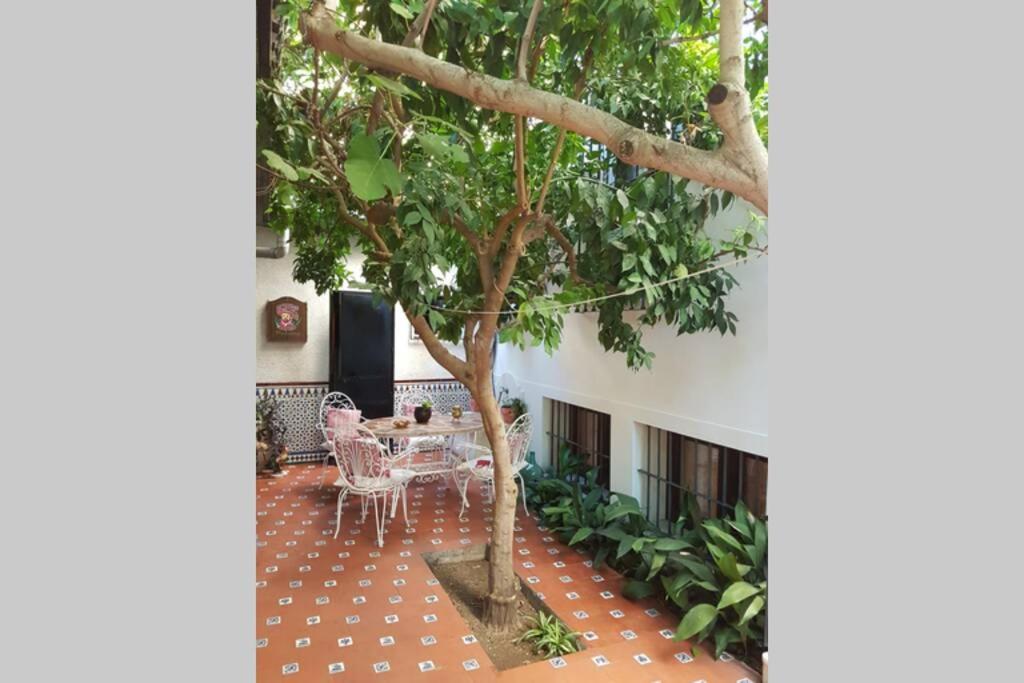 Casa En Granada Con Jardin, Facil Aparcamiento Calle Villa Luaran gambar